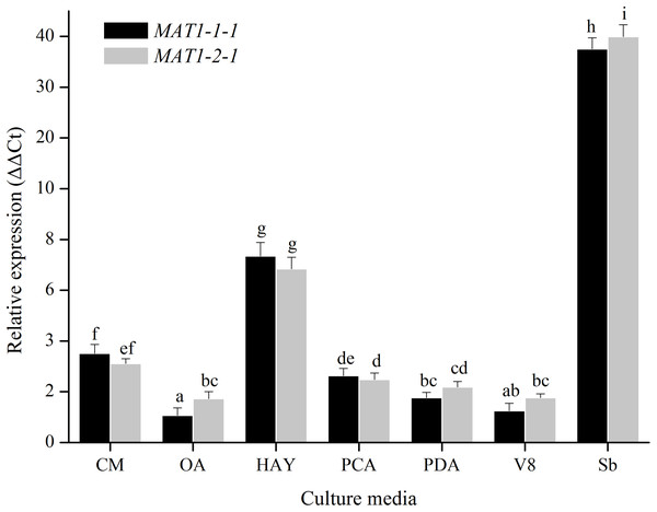 Expression levels of the MAT1-1-1 and MAT1-2-1 genes on different culture medias (CM, OA, HAY, PCA, PDA and V8).