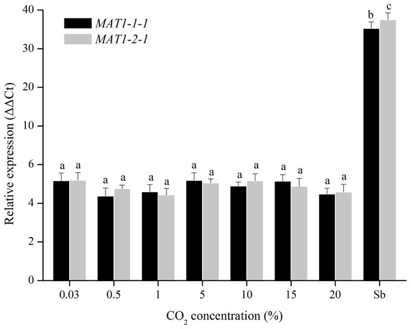 Expression levels of the MAT1-1-1 and MAT1-2-1 genes under different CO2 concentrations (0.03%, 0.5%, 1%, 5%, 10%, 15% and 20%).