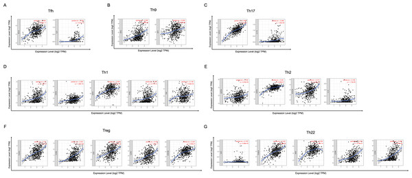 Scatterplots of correlations between YTHDC2 expression and gene markers of CD4+ T cells subsets.