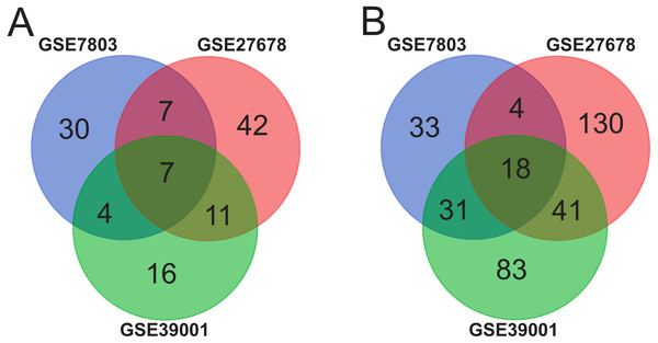 Identification of 25 common DEGs in the three datasets (GSE39001, GSE7803 and GSE27678) through Venn diagrams software.