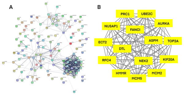 Common DEGs PPI network constructed by STRING online database and Module analysis.