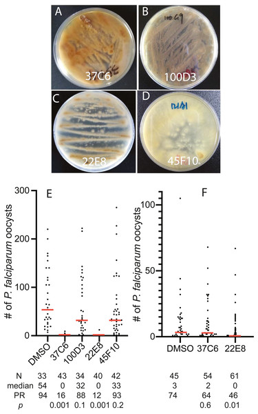 The transmission-blocking activity of the extracts candidates by screening the fungal library with the in vitro FREP1-parasite interaction-based ELISA assays.