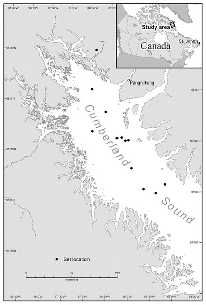 Approximate longline set locations in Cumberland Sound, Nunavut.