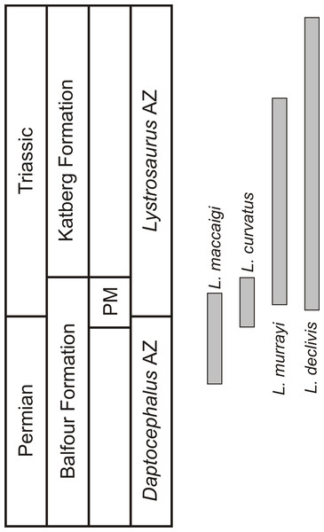 Biostratigraphic ranges of the four South African Lystrosaurus species in the Karoo Basin.