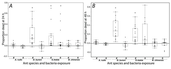 Mortality is shown for data collected at 24 h (A) and 48 h (B) when ants were exposed to S. epidermidis (S) or E. coli (E) after adjusting treatment values to control value.