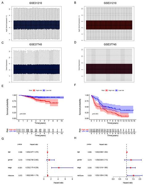 Development and validation of DNA repair-related signature for survival prediction.
