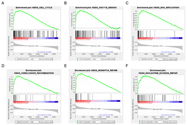 six gene sets significantly enriched in the surgical LUAD phenotype using GSEA.