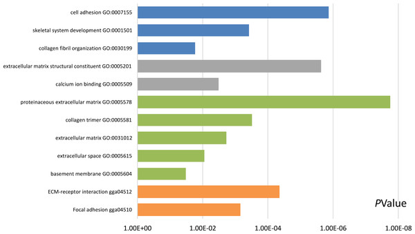 Results of Gene Ontology (GO) and Kyoto Encyclopedia of Genes and Genomes (KEGG) pathway analyses of the most significant module.