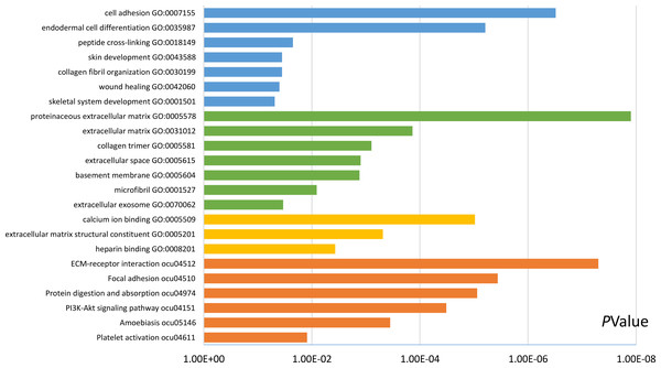 Results of GO and KEGG pathway analyses of 20 hub genes.