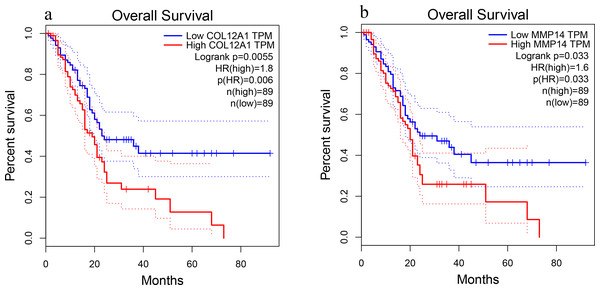 Overall survival analysis.