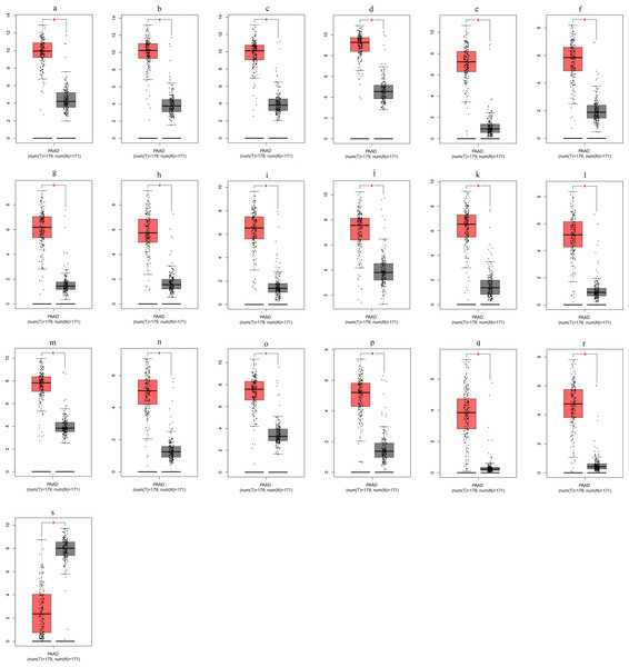 Validation of DEGs using The Cancer Genome Atlas and Genotype–Tissue Expression databases.