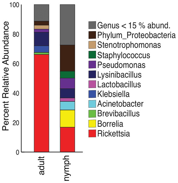 Taxonomy graph showing the average relative abundance of genera in adults and nymphs.