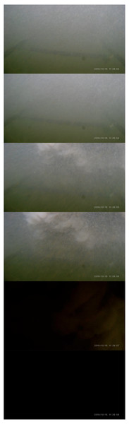 Sequential images during six seconds when a turbidity current struck Edokko Mark 1.