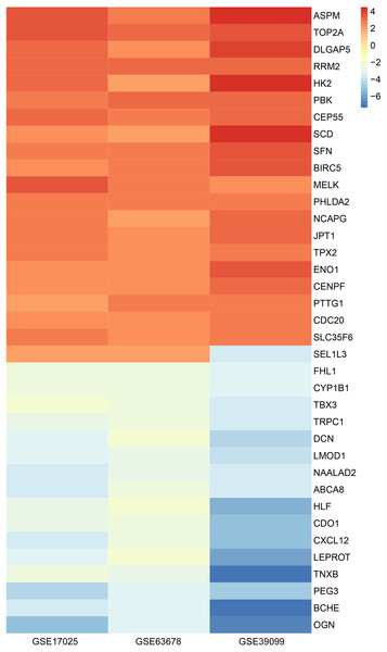 Identification and prognostic value of DLGAP5 in endometrial cancer [PeerJ]