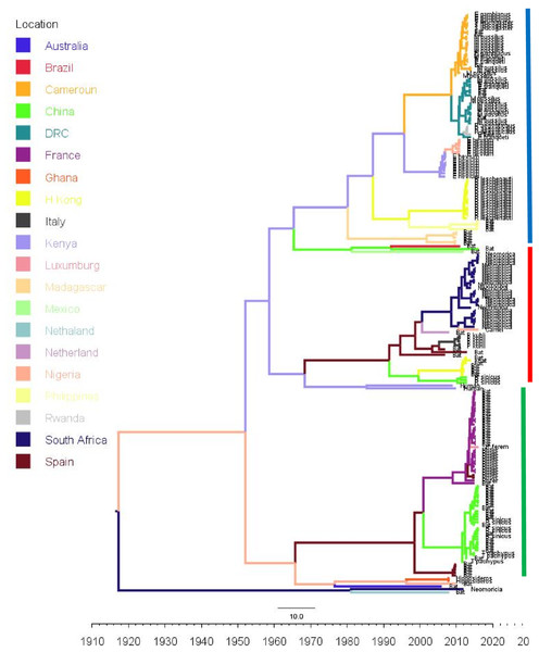Time scaled Maximum clade credibility tree (MCC) of partial RdrP gene region of Bt-βCoV from Africa and other global strains.