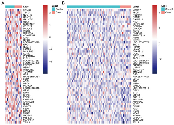 The heatmap of top 50 differentially expressed genes.