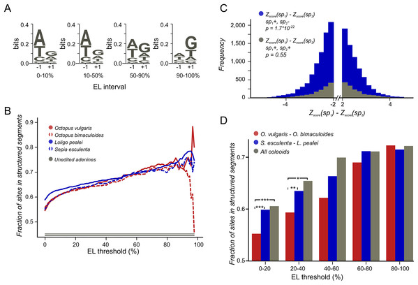 Coleoid editing site contexts.