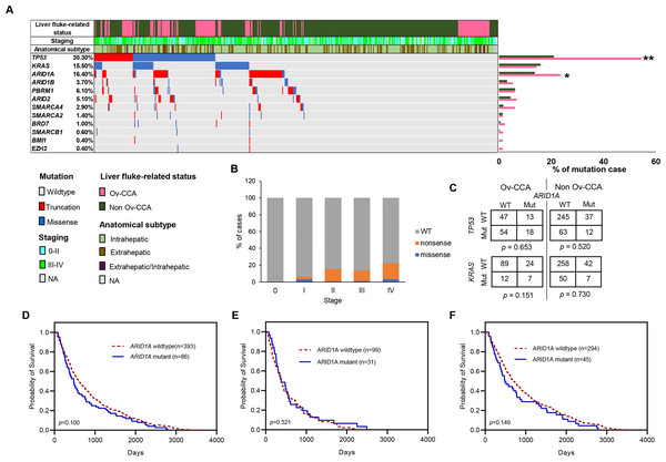 Frequencies of ARID1A gene mutation in CCA and its correlation with patient survival.