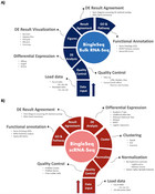 BingleSeq: A User-friendly R Package For Bulk And Single-cell RNA-Seq ...