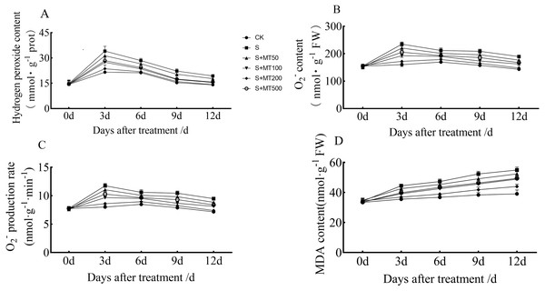 Effects of exogenous melatonin (MT) on hydrogen peroxide (H2O2) (A), superoxide anion (O 
                        
                        ${}_{2}^{-}$
                        
                           
                              
                              
                                 2
                              
                              
                                 −
                              
                           
                        
                     ) (B), superoxide anion production rate (C), and malondialdehyde (MDA) (D) content in cotton leaves under salt stres.