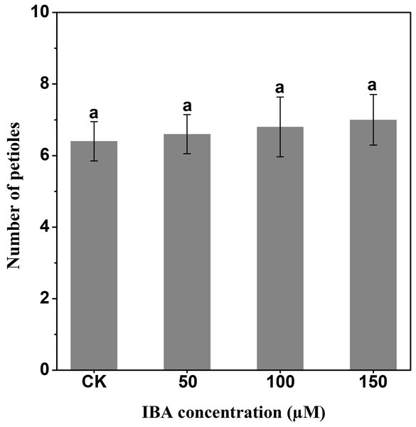 Effect of IBA on the number of petioles of carrot plants.