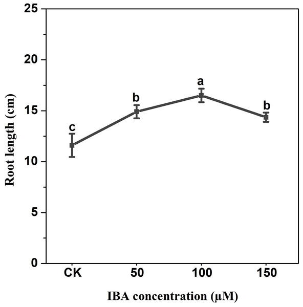 Effect of IBA treatment on carrot root length.