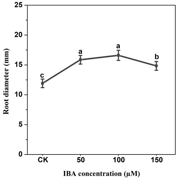 Effect of IBA treatment on carrot root diameter.