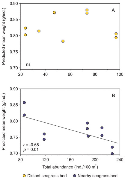 Relationship between body condition (combined data from Penaeus aztecus and P. duorarum) and total shrimp abundance in two seagrass beds, one distant and one near the tidal inlet in a coastal lagoon.