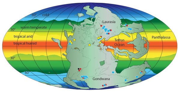 Paleogeographic distribution of Early Triassic archosauriform footprints (yellow stars) and body fossil localities across Pangea.