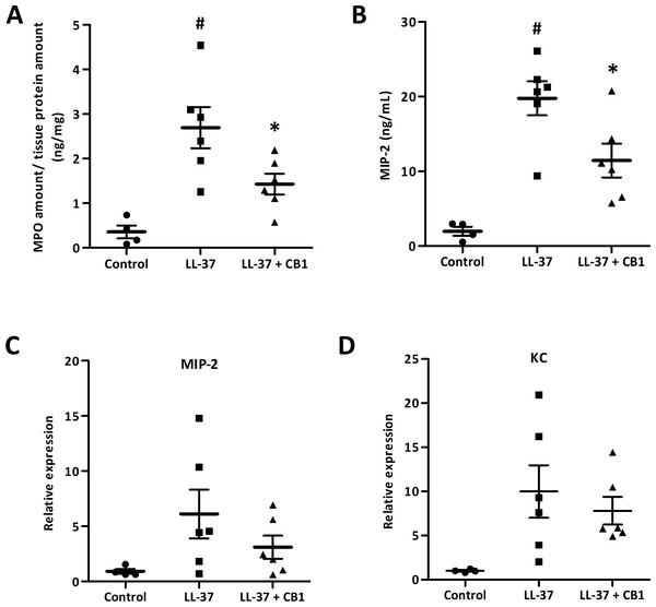 CB1 attenuated LL-37-induced inflammatory and neutrophil chemoattractant MIP-2 at both protein and gene levels in the rosacea-like mouse model.