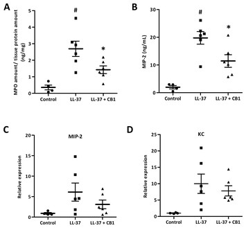 Cinnamtannin B1 attenuates rosacea-like signs via inhibition of pro ...