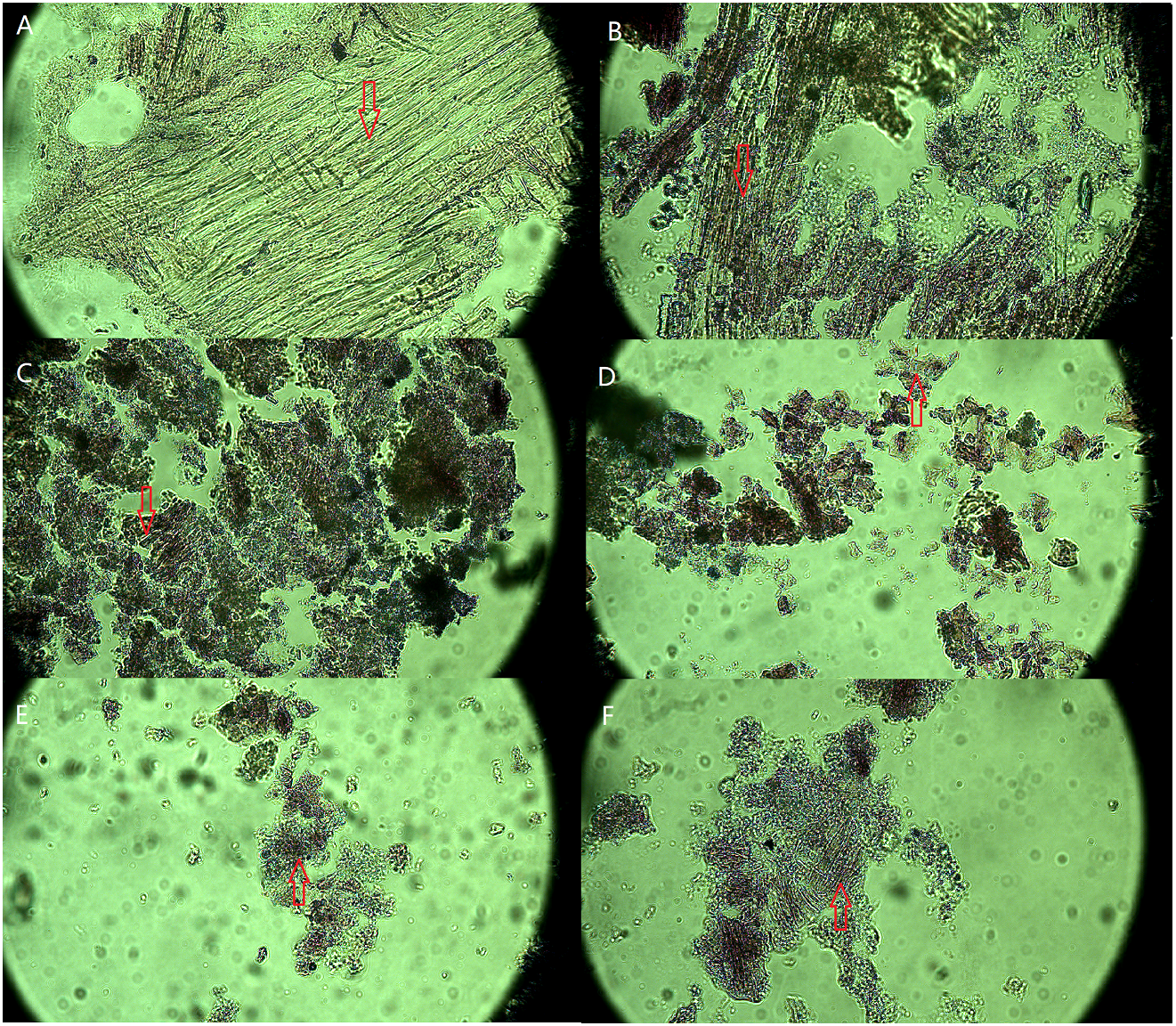 Optimizing the amount of pig manure in the vermicomposting of spent  mushroom (Lentinula) substrate [PeerJ]