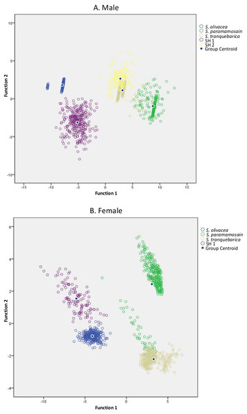 Canonical discriminant function graphs of Scylla species based on the top five selected ratios.