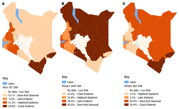 Spatial distribution patterns of (A) Pfcrt 76T, (B) Pfmdr1 184F and (C) Pfmdr1 86Y SNPs by malaria epidemic zones using QGIS version 2.18.