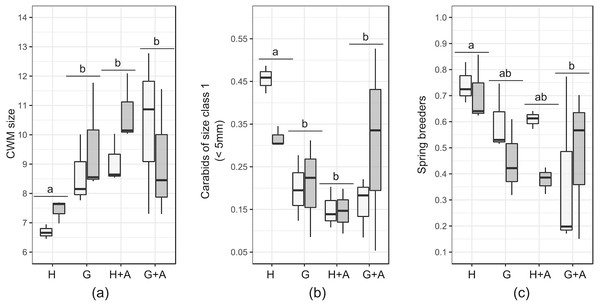 Boxplots of functional traits of interest from crop carabid assemblages (by transects). Presented plots display variables that responded significantly to the type of ecological infrastructure.