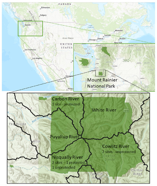 Locations of experiment deployment at five occupied bat colonies in three watersheds in Mount Rainier National Park, Washington State, USA.