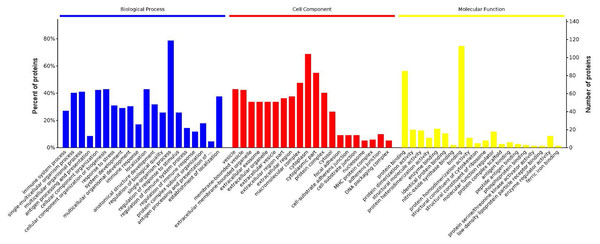 Enrichment of the gene ontology functional terms in the top 20 entries of the three categories of biological process, cellular component, and molecular function for highly expressed proteins.