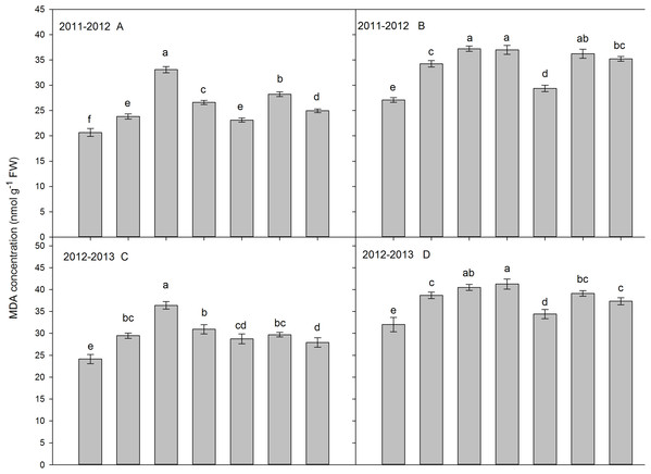 The effect of different treatments on MDA content in flag leaf (A and C) and the third leaf (B and D) at 25 DAA (2011–2012 and 2012–2013).
