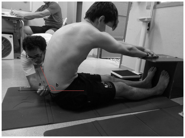 Hip joint angle test for the measurement of the L-H fx in a maximal flexion of the trunk.