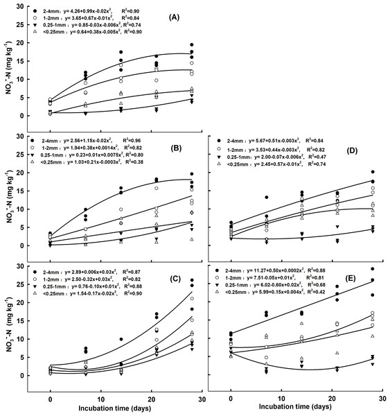 Correlation of NO3−-N concentrations with incubation time for the aggregate size classes in response to (A) no N addition, (B) addition of 5 mg NH4+-N kg−1 aggregate, (C) addition of 10 mg NH4+-N kg−1 aggregate, (D) addition of 5 mg NO3−-N kg−1 aggregate, and (E) addition of 10 mg NO3−-N kg−1 aggregate.