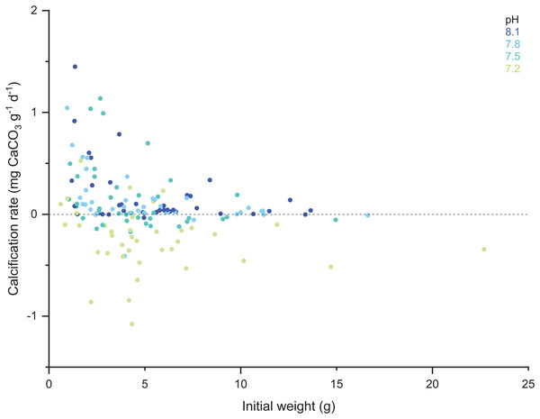 Scatter plot of the initial weight of the polyps and their calcification rate computed for the total duration of the experiment (433 days).