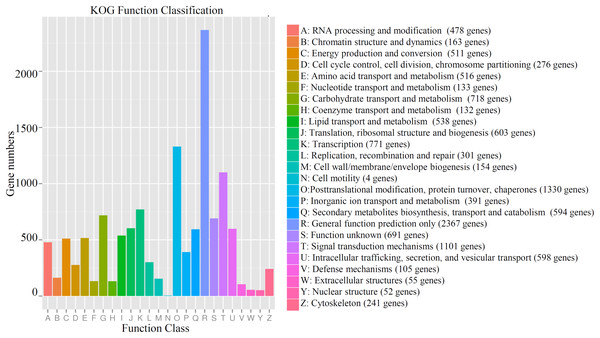 Functional KOG classification of all annotated genes in cucumber.