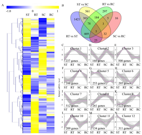 Expression profiles of the differentially expressed genes.