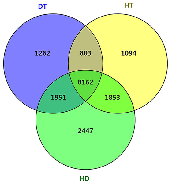 Comparison of the number of differentially spliced genes (DSGs) in response to DT, HT and HD in tea leaves.
