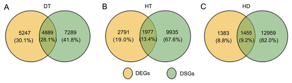 Comparison of the proportion of differentially expressed (DEGs) and DSGs in response to DT, HT and HD in tea leaves.