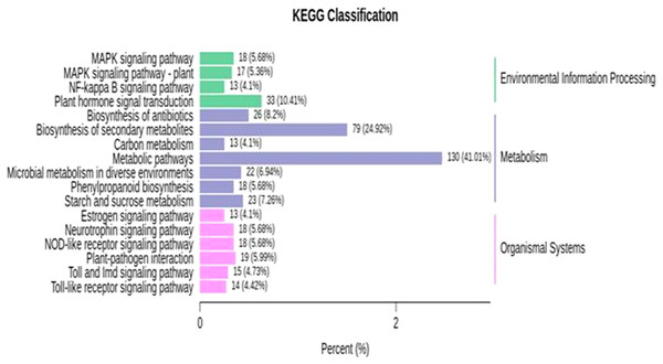 KEGG enrichment analysis for differentially expressed genes (DEGs) in all sample comparison.