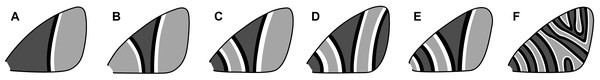 Henke’s categorization scheme for symmetry system complexity, with the categories arranged from least (A) to most (F) complex.