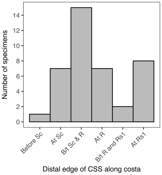 The number of specimens belonging to each of six categories, corresponding to the point where the distal edge of the central symmetry system (CSS) terminates along the costal margin of the wing.