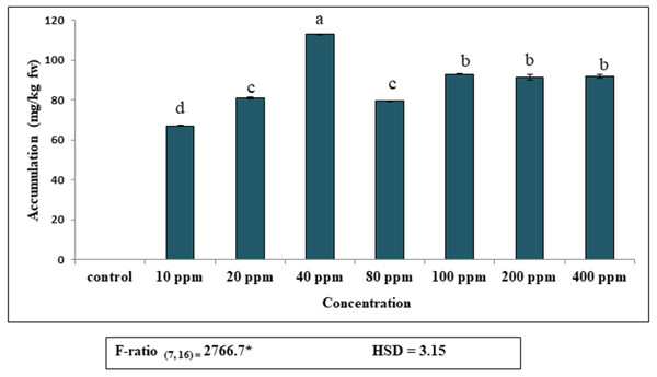 Accumulation of diethyl phthalate (DEP) by S. polyrhiza. Results are presented as Mean ± SE, n = 3, one-way ANOVA, Tukey’s HSD. *Significant at p ≤ 0.05. Control showed no DEP detection.