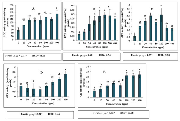 Effect of DEP stress on antioxidant enzymatic activities of S. polyrhiza. Results are presented as Mean ± SE, n = 3, one-way ANOVA, Tukey’s HSD. *Significant at ≤0.05.